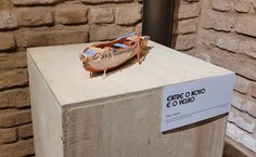 Exposição Contraste segue aberta ao público no Museu Théo Brandão. Foto: Guilherme Honório