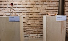 Exposição Contraste segue aberta ao público no Museu Théo Brandão. Foto: Guilherme Honório