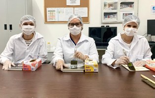 Pinacoteca realiza tratamento preventivo de acervo